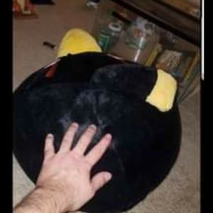 Extra large angry birds plush